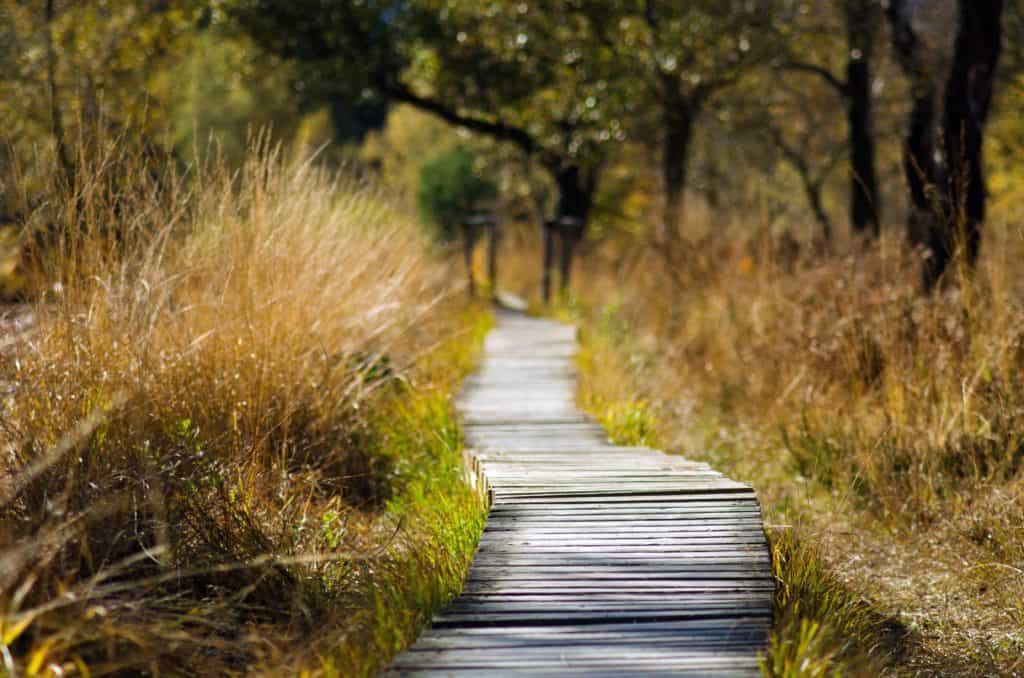 Wanderweg durch die Natur
